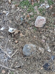 地面上的石头与枯叶