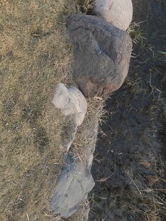 地面上的奇特石块