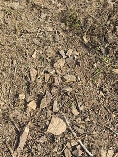 地面上的碎石与枯枝