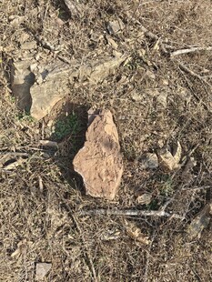 地面上的一块褐色石头