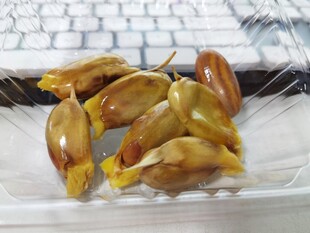 种子摆于透明容器中