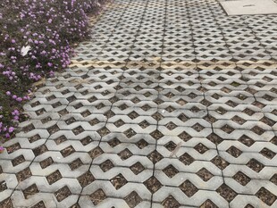 几何图案铺设的精致路面