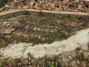 山间湍急溪流与碎石景观