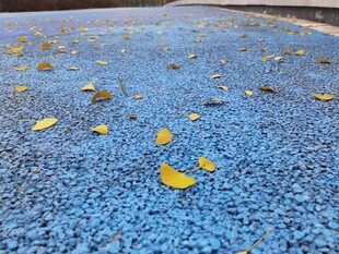 蓝色地面上的散落黄叶