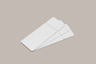 门票卡券样机图片