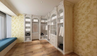 现代简约风格的衣柜室内图