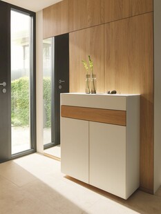 现代简约风格室内储物柜