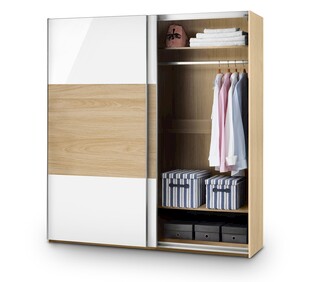 现代简约双门衣柜