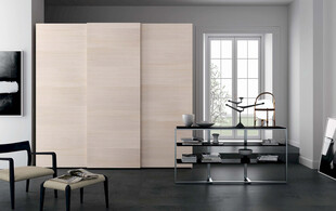 简约现代风格的室内衣柜场景