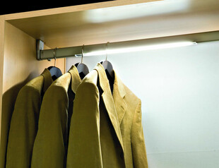 衣柜内挂着的几件衣物