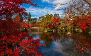 秋日湖畔红叶美景