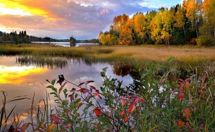 秋日湖畔绚丽风光