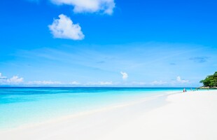 美丽的热带海滩风光