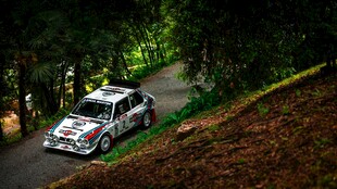 森林中疾驰的拉力赛车