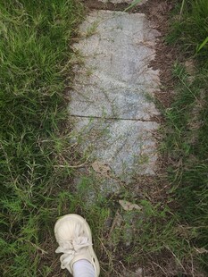 漫步草地中的石板小径