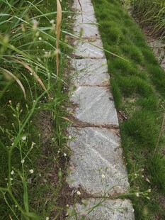 石板小径穿行于葱郁草木间