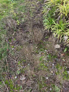 户外草地泥土场景