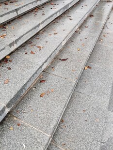 秋日石阶上的散落枯叶