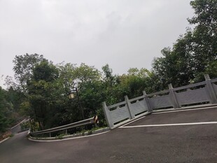 道路旁的绿植与围栏景观