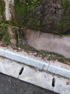 路边石材旁的小虫景观