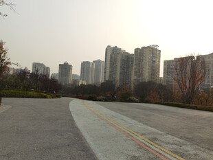 城市道路旁的高楼景观