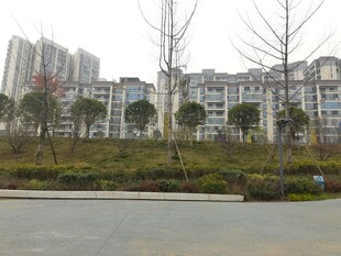 城市住宅区景观