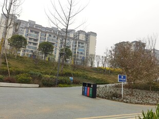 小区外的停车区域