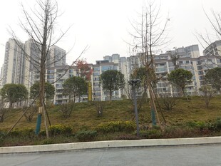 城市住宅区旁的冬日景象