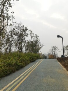 郊外空旷道路风景
