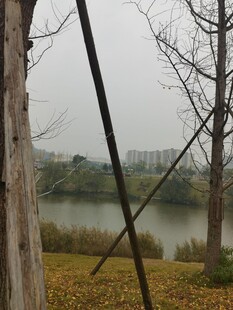 湖边秋日树林景致