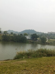 宁静湖畔自然风光