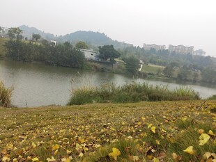 湖畔田园风光美景