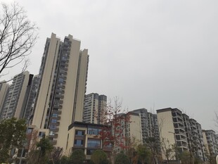 城市高楼林立景象