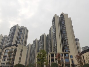 城市高层住宅区景观