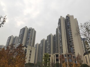 高层住宅区景观