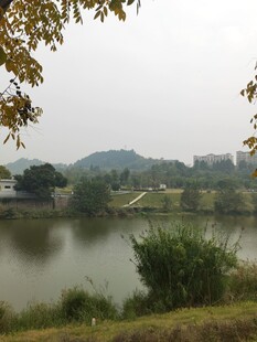 湖畔风景自然静谧之美