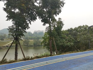 湖边蓝道旁绿树成荫