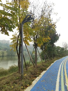 秋日河畔彩色步道美景