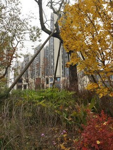 秋日林间的古朴建筑