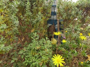 野外隐蔽的绿色设备