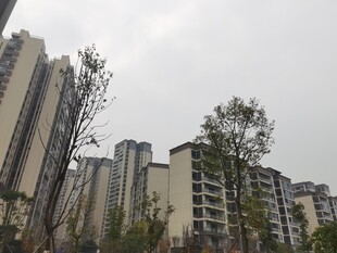 城市住宅区景观