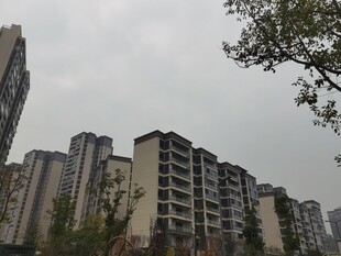 城市住宅区高楼景观