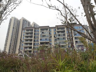 城郊高层住宅与周边植被