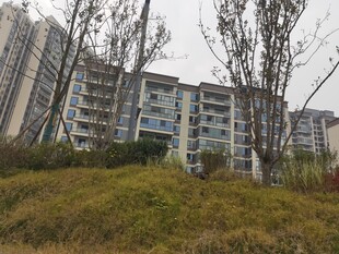 小区周边绿植与楼景