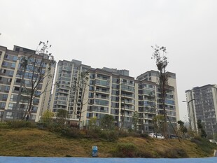 城郊住宅区景观