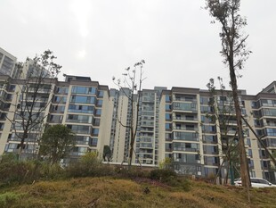 现代多层住宅区景观