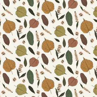 秋季水果树叶图案纹理