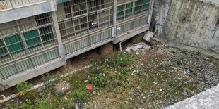 老旧楼房旁杂草丛生空地