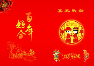 婚庆  百年好合   