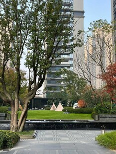 城市中的静谧园林景观